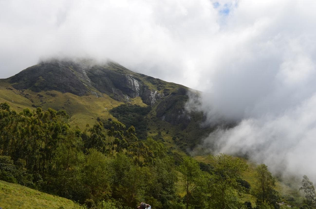 Eravikulam National Park
